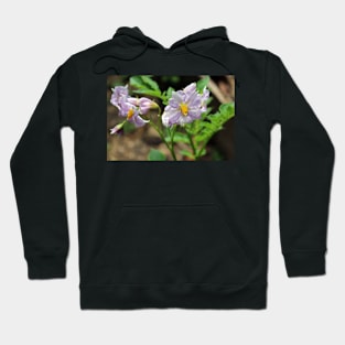 Potato Plant Flowers Hoodie